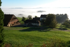 wwwBetrieb_01