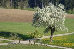 wwwBetrieb_10