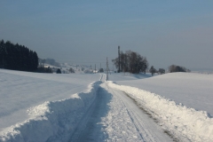 wwwBetrieb_30