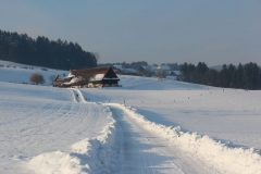 wwwBetrieb_31