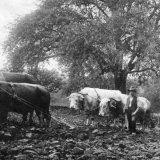 historisch04